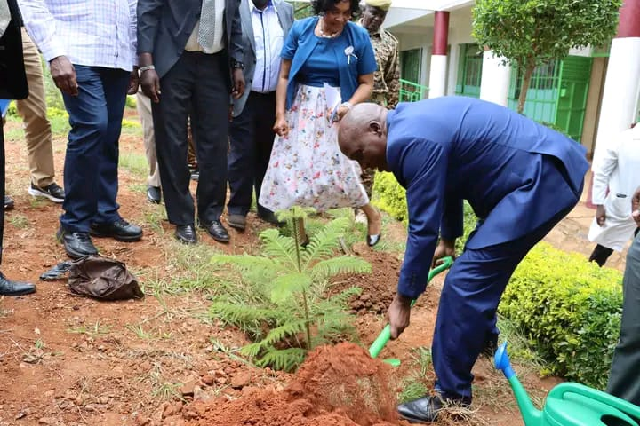 Tree planting to mark the launch of the borehole